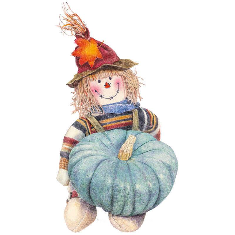 Pumpkin Jarrahdale seed packet photo