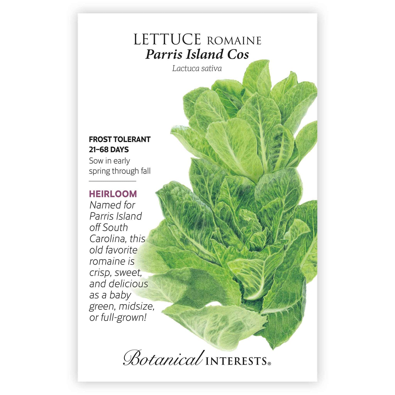 Lettuce Parris Island Cos seed packet photo