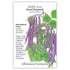 Bean Bush Royal Burgundy Seed Packet seed packet photo
