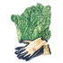 Mustard Florida Broadleaf seed packet photo