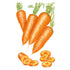 Carrot Redcored Chantenay Seed Packet seed packet photo