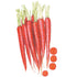 Carrot Atomic Red Seed Packet seed packet photo
