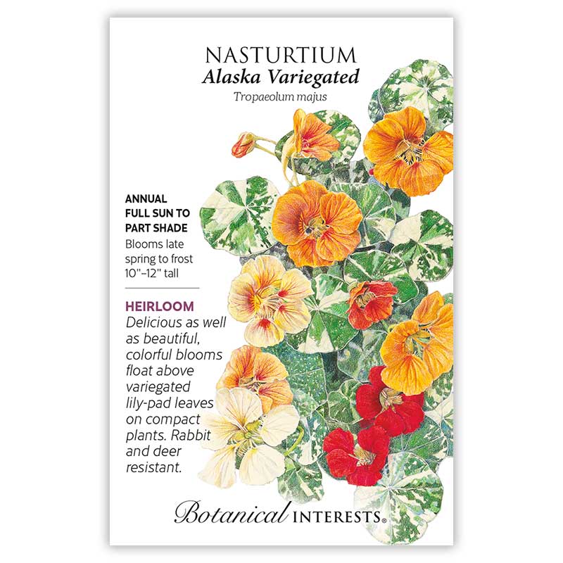 Nasturtium Alaska Variegated Seed Packet