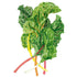 Swiss Chard Celebration seed packet photo