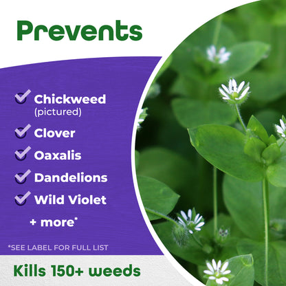 Bonide Chickweed Clover and Oxalis Killer