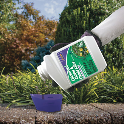 Bonide Chickweed Clover and Oxalis Killer