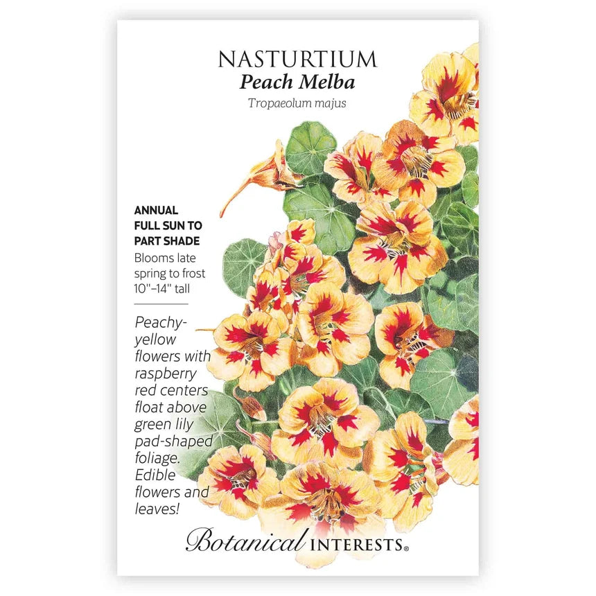 Nasturtium Peach Melba Seed Packet