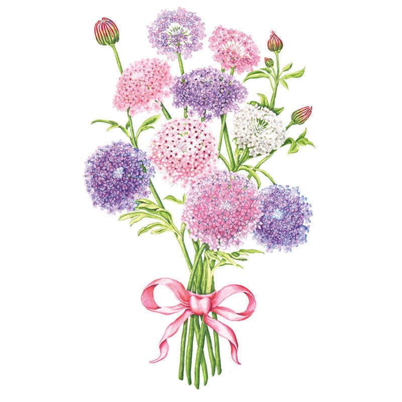 Lace Flower Madonna Seed Packet seed packet photo