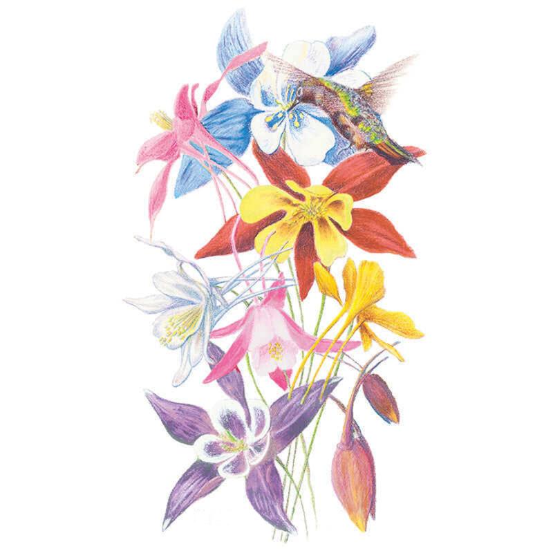 Columbine McKana Giants Blend seed packet photo