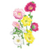 Hollyhock Indian Spring Seed Packet seed packet photo