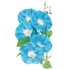 Morning Glory Heavenly Blue Seed Packet seed packet photo