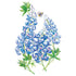 Bluebonnet Seed Packet seed packet photo