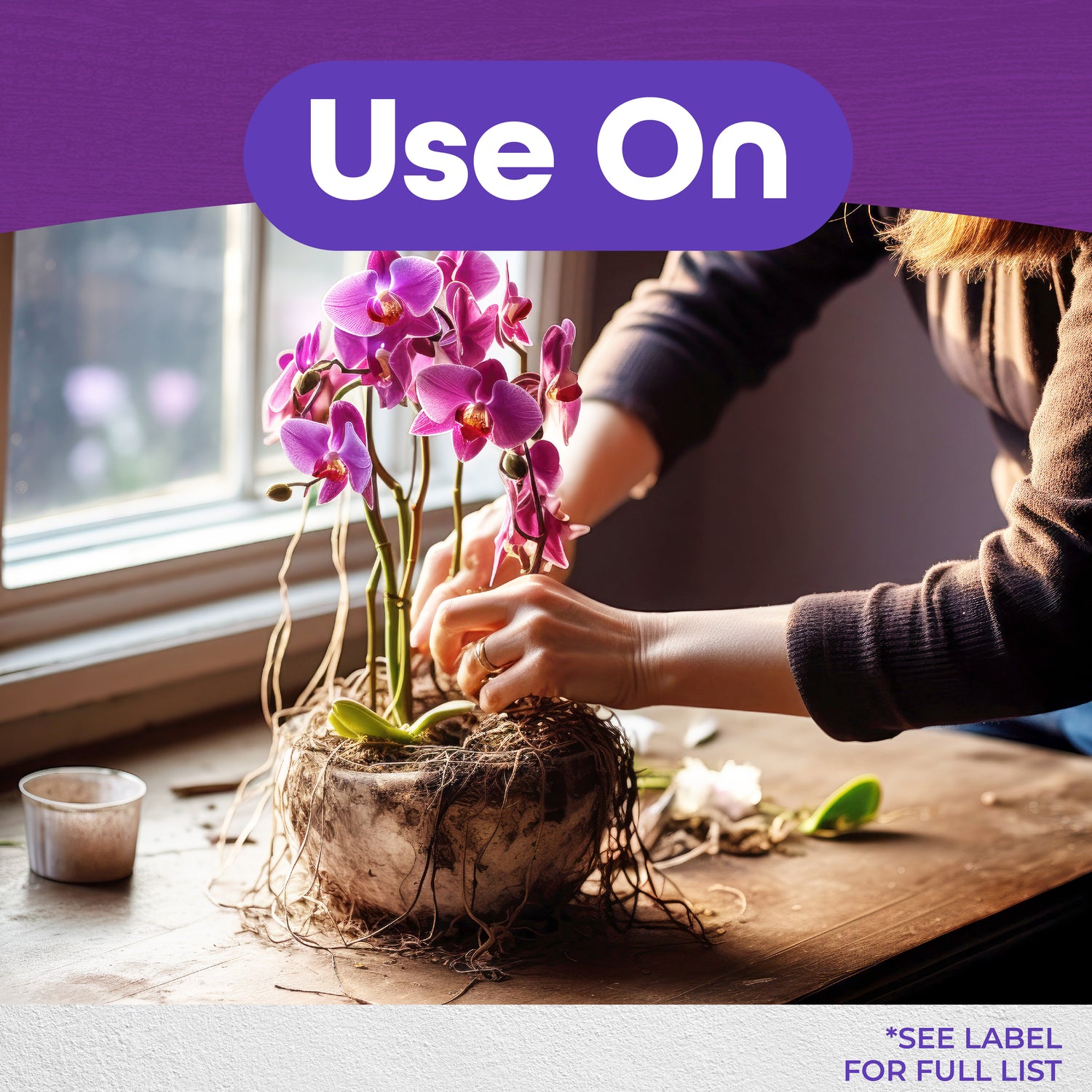 Liquid Orchid Food 8 oz