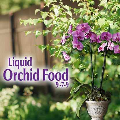 Liquid Orchid Food 8 oz