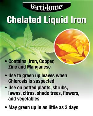 Fertilome Chelated Liquid Iron 32oz