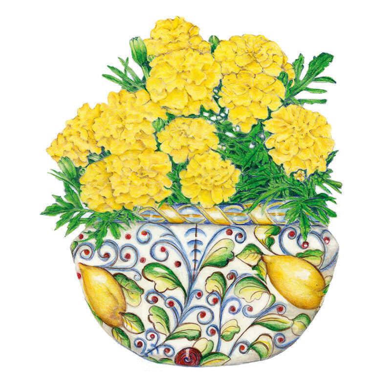 Marigold Lemon Drop Seed Packet seed packet photo