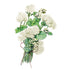 Ageratum Dondo White Seed Packet seed packet photo