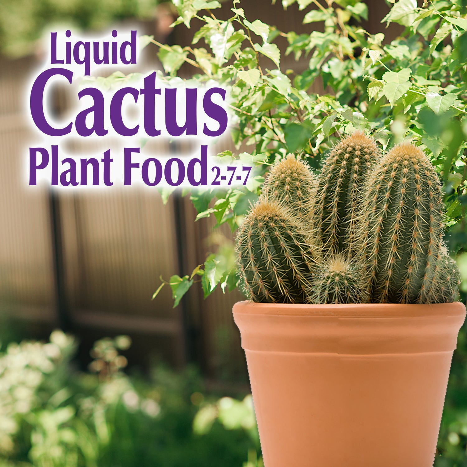 Bonide Liquid Cactus Plant Food