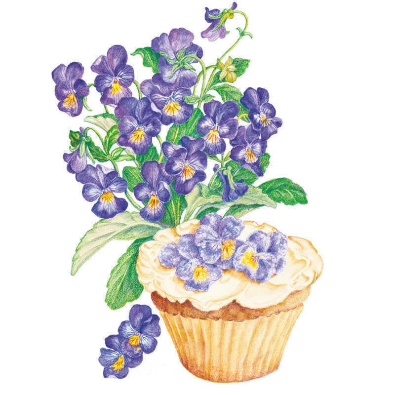 Viola King Henry Seed Packet seed packet photo