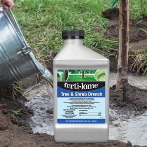 Tree &amp; Shrub Drench 32 oz Concentrate