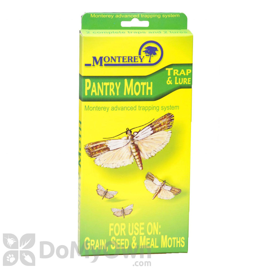 Pantry Moth Trap 2 traps product photo