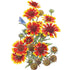 Gaillardia Goblin Seed Packet seed packet photo