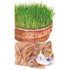 Catgrass Seed Packet seed packet photo