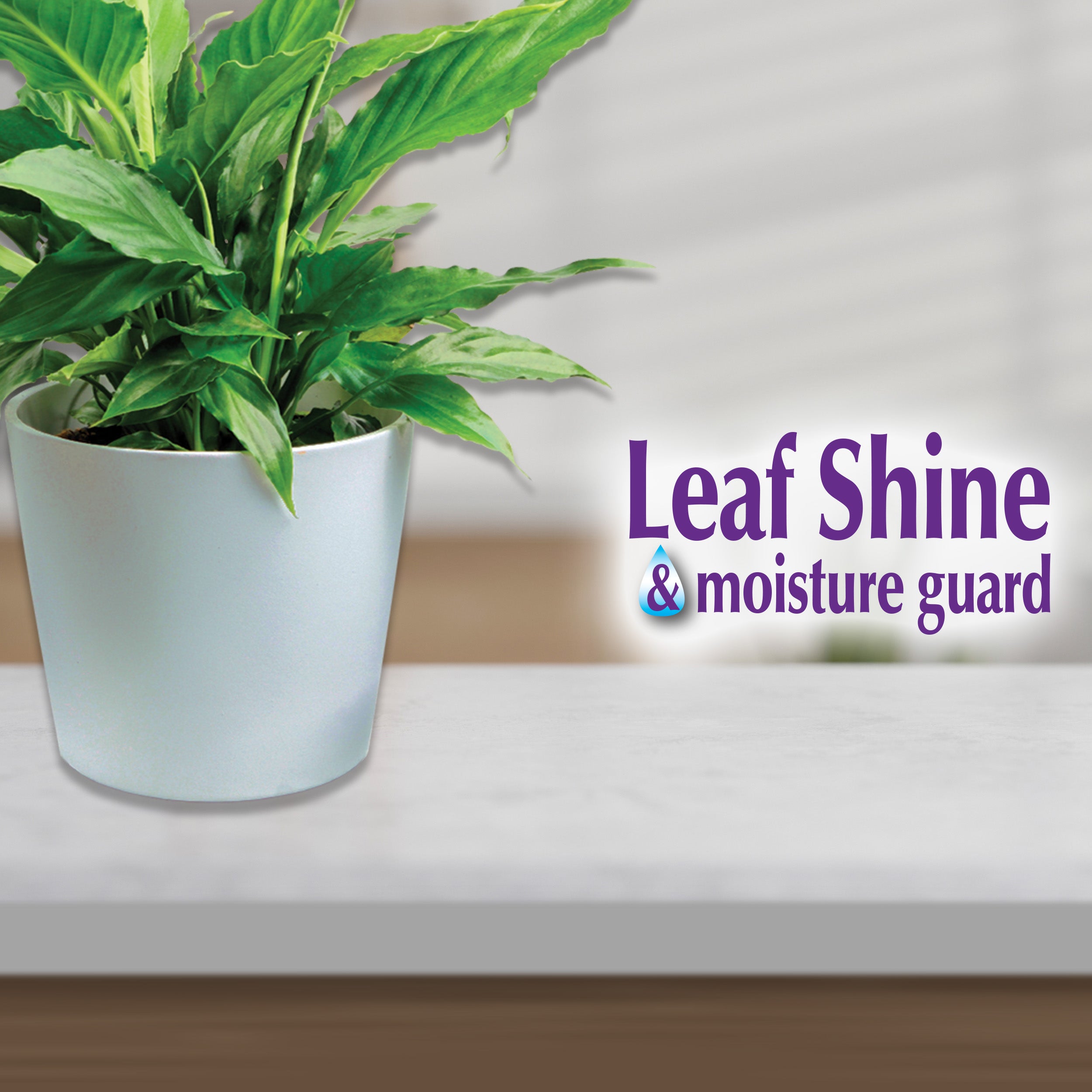 Bonide CJ 12oz Leaf Shine