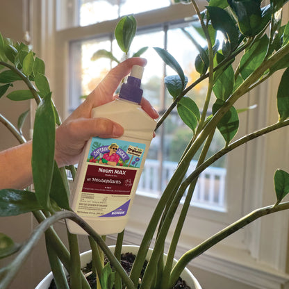 Bonide Neem Max for Houseplants 12oz