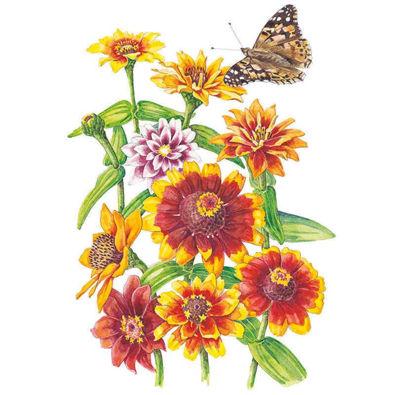 Zinnia Persian Carpet Seed Packet seed packet photo