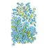 Forget Me Not Spring Seed Packet seed packet photo