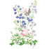 Delphinium Butterfly Blend Seed Packet seed packet photo