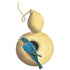 Gourd Birdhouse Seed Packet seed packet photo