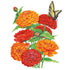 Zinnia Fireball Seed Packet seed packet photo