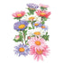 Aster china blend seed packet seed packet photo