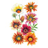 Gazania Sunshine Seed Packet seed packet photo