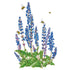 Salvia Violet Queen Seed Packet seed packet photo