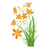 Lily Blackberry Orange Seed Packet seed packet photo
