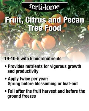 Fruit Tree Citrus Pecan 3.25 lb