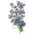 Ageratum Blue Planet Seed Packet seed packet photo