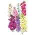 Stock Column Blend Seed Packet seed packet photo