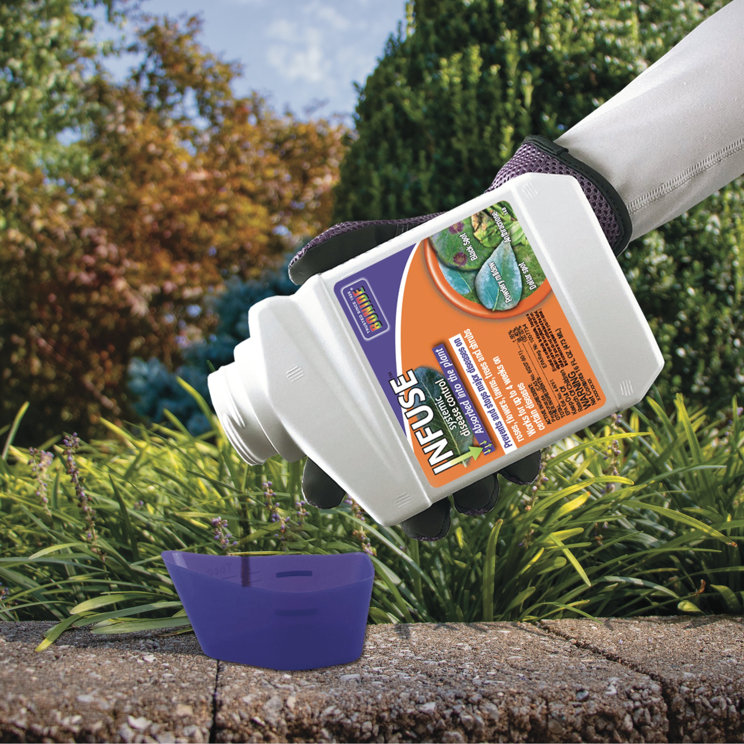 Bonide Infuse Concentrate pt