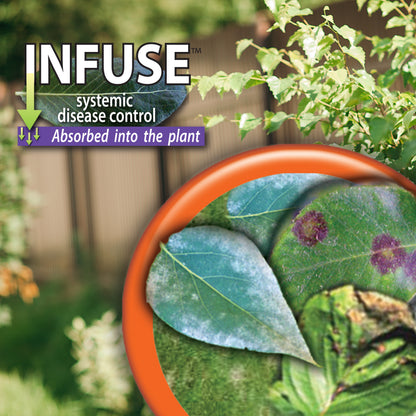Infuse Systemic Disease Control RTS