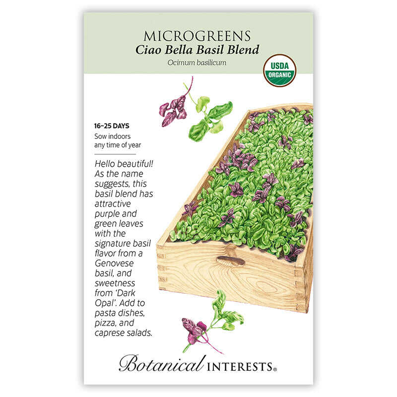 Microgreens Basil CiaoBella Bld Org Seed Packet