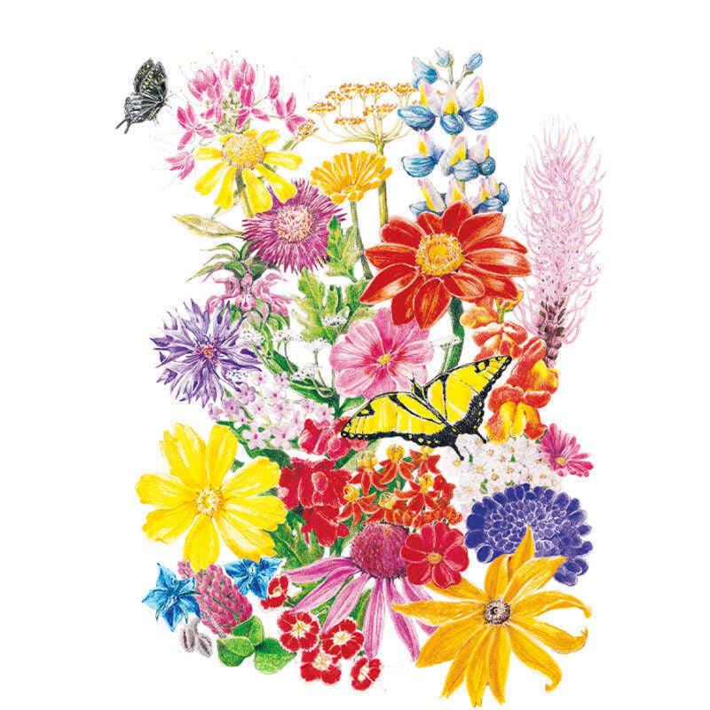 Botanical Interests Borage Home the Butterflies Seeds 10g seed packet photo