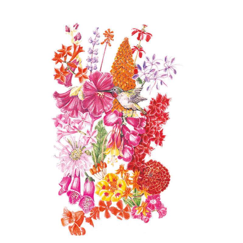 Hummingbird Haven Seed Packet seed packet photo
