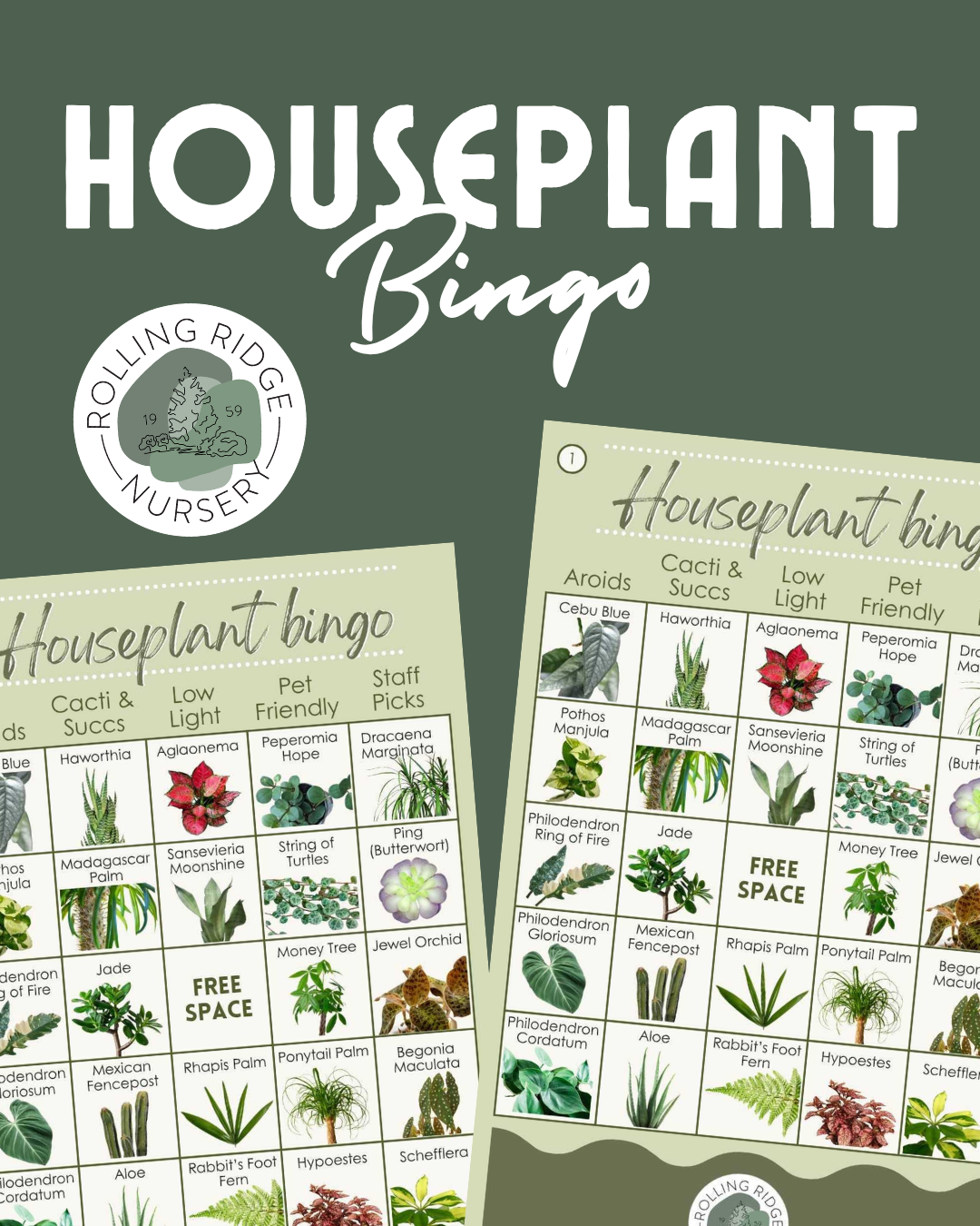 Houseplant Bingo Ticket