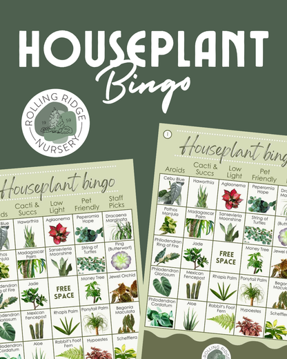 Houseplant Bingo Ticket