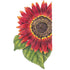 Sunflower Evening Sun Seed Packet seed packet photo