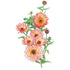 Calendula Zeolights seed packet photo